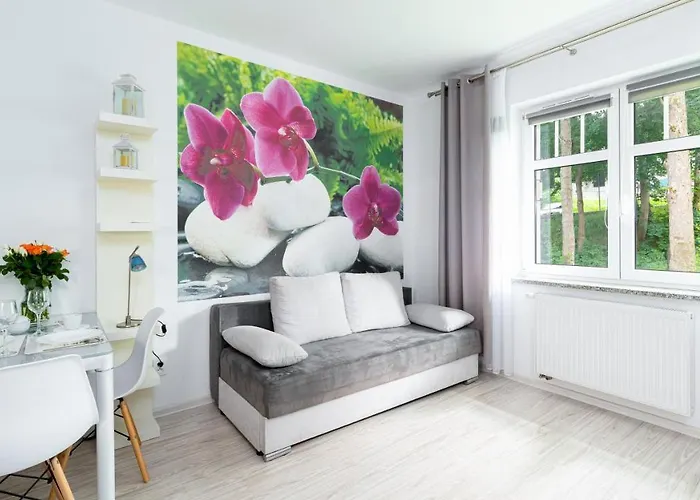 Sucha, Sun & Snow * Karpacz