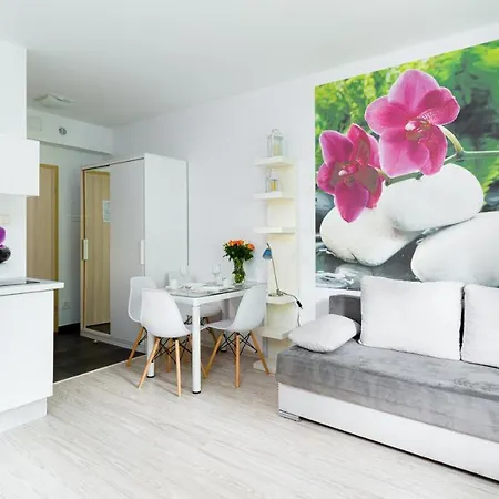 Sucha, Sun & Snow * カルパッチ