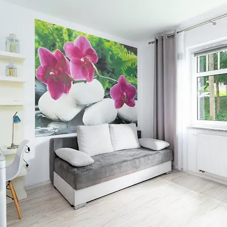 Sucha, Sun & Snow * カルパッチ