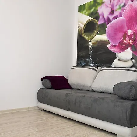 Sucha, Sun & Snow アパート カルパッチ